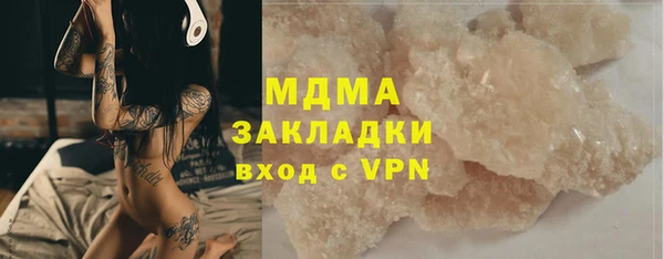 крисы Бородино