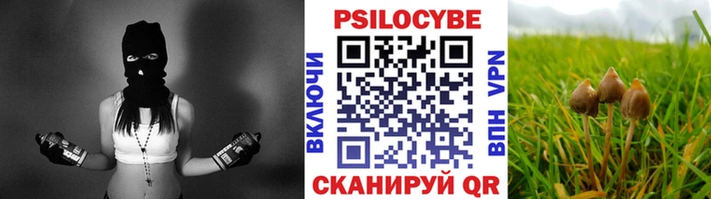 Псилоцибиновые грибы мицелий  Купить  Серафимович 